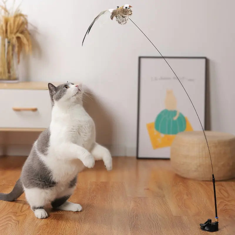 Simulation Bird Interactive Cat Toy